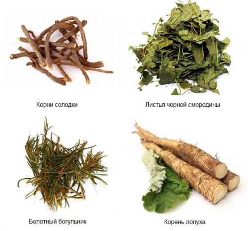 Травы от воспаления. Подборка рецептов с травами для лечения суставов