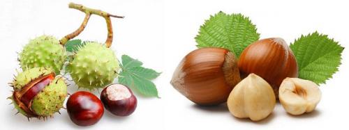 Травы от воспаления. Подборка рецептов с травами для лечения суставов