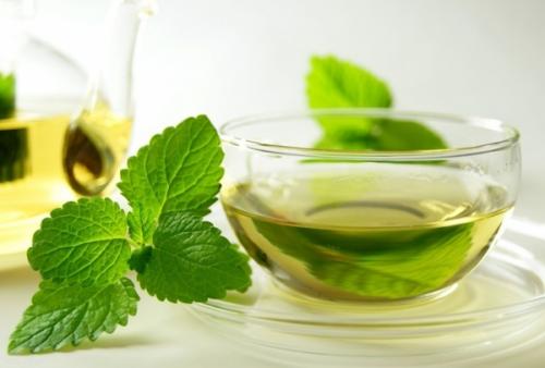 Мята или мелисса, что лучше успокаивает. Мята и мелисса – это одно и то же 03 Мята или мелисса, что лучше успокаивает. Мята и мелисса – это одно и то же 03