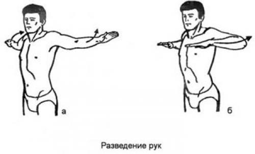 Упражнение вращение тазом, как правильно. Упражнения для разминки