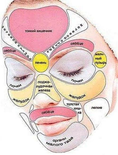 Какие части лица отвечают за внутренние органы. Зоны проекций - Лицо 01 Какие части лица отвечают за внутренние органы. Зоны проекций - Лицо 01