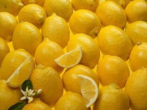 Что будет если съесть много мандаринов. Что произойдет, если есть мандарины каждый день 06 Что будет если съесть много мандаринов. Что произойдет, если есть мандарины каждый день 06