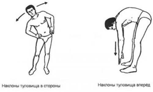 Упражнение вращение тазом, как правильно. Упражнения для разминки