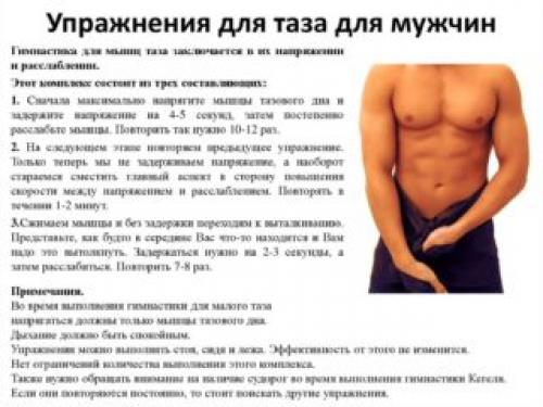 Упражнения на малый таз для мужчин. Система тренировок для укрепления мышц малого таза