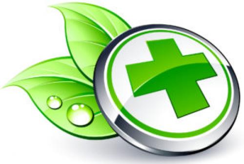 Чай с мелиссой и мятой рецепт. Чай с мелиссой