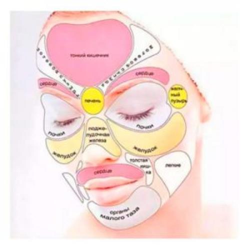 Гимнастика для мышц лица от морщин. Гимнастика для мышц лица: эффективность, правила проведения