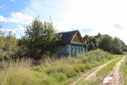 Жизнь в глухой деревне. Почему подруга бросила все и уехала жить в глухую деревню?