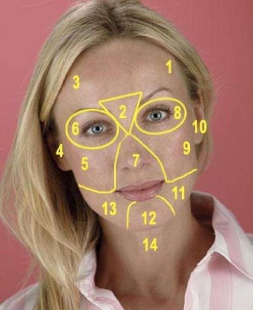 Какая часть лица отвечает за какой внутренний орган. Определение болезней по лицу 07