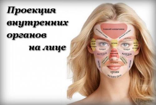 Какая часть лица отвечает за какой внутренний орган. Определение болезней по лицу 04
