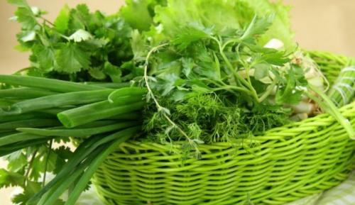 Какие травы полезные. Какие травы могут быть полезны для здоровья 06