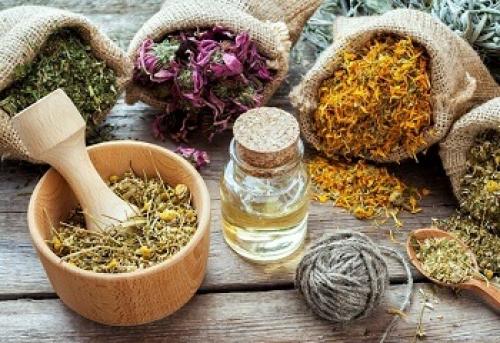 Какие травы от чего помогают. Какие травы от каких болезней лучше всего принимать–список-шпаргалка для читателей сайта “Записки деревенского Айболита”