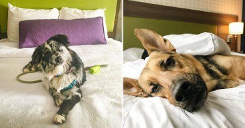 Если отказаться от хлеба. Что произойдет с твоим телом, если ты перестанешь есть хлеб