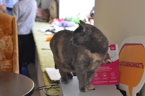 Одиночество посл.  Женское одиночество в 40 лет. Ужасные последствия