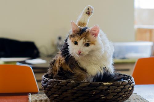 Одиночество посл.  Женское одиночество в 40 лет. Ужасные последствия