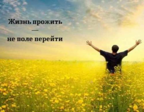 Мудрые поговорки про жизнь. Пословицы про жизнь   50 самых известных поговорок