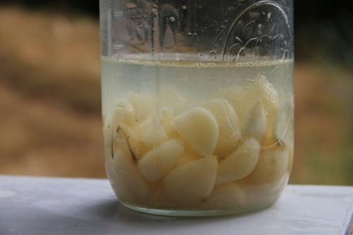 2 зубчика чеснока. Чесночная вода по рецепту бабушки Гали поставила меня на ноги. От целого букета болезней!