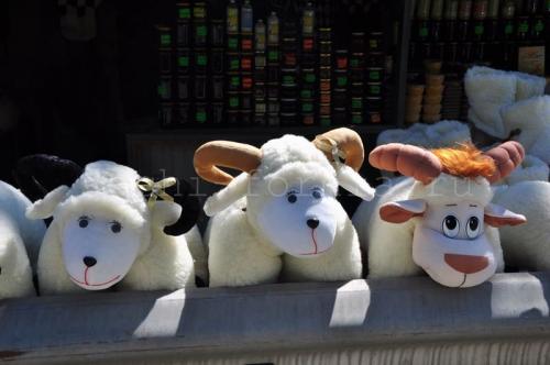 Что делать в лагонаки зимой. Плато Лагонаки: что можно успеть за выходные