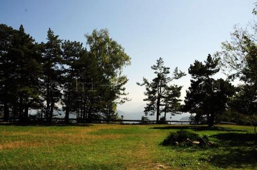 Что делать в лагонаки зимой. Плато Лагонаки: что можно успеть за выходные