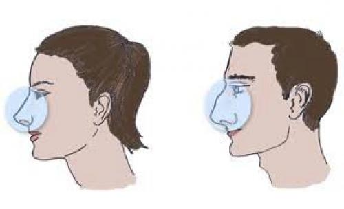 Нежные черты лица у мужчин. Немножко анатомии. Отличие мужского лица от женского