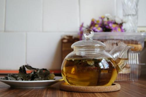 Ферментация мяты в морозилке. Мята сушёная VS мята ферментированная