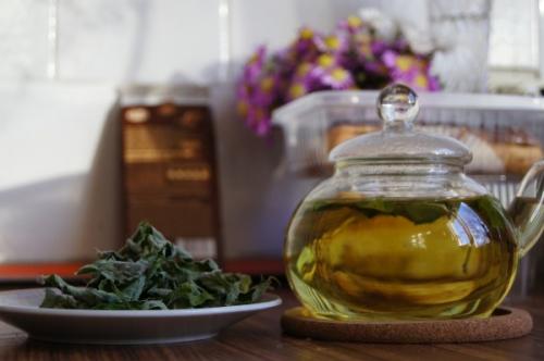 Ферментация мяты в морозилке. Мята сушёная VS мята ферментированная