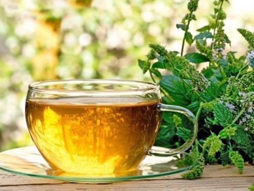 Ферментация мяты перечной. Как ферментировать мяту и мелиссу на зиму: интересный способ сушки