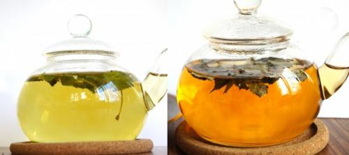 Ферментация мяты в морозилке. Мята сушёная VS мята ферментированная