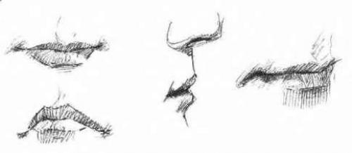 Нежные черты лица у мужчин. Немножко анатомии. Отличие мужского лица от женского