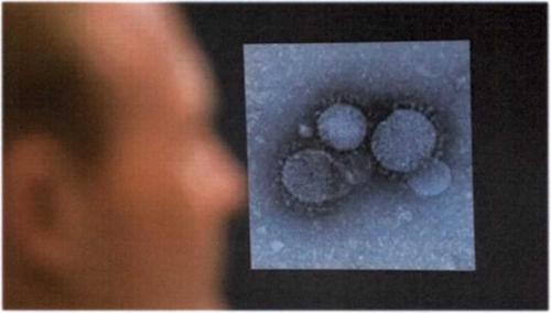 Как защититься от коронавируса и не паниковать. Страшная семейка 02