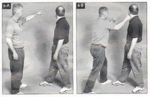 Как увеличить приток крови к паху. Возможные последствия нарушения кровообращения в малом тазу