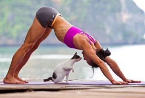 Упражнения для спины. Гимнастика для позвоночника