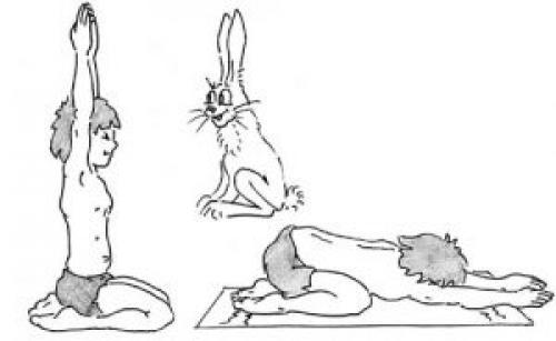 Упражнения для спины. Гимнастика для позвоночника