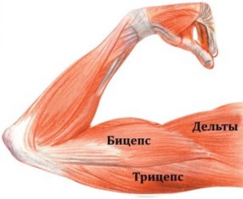 Упражнения для ног кровообращения. Причины патологии 06 Упражнения для ног кровообращения. Причины патологии 06