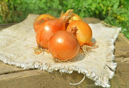 Как выбрать корзину для луковичных