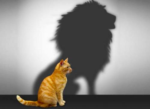 Как уверенность в себе влияет на нашу жизнь и карьеру