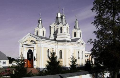 Как вакцины от COVID-19 влияют на беременных и кормящих женщин. Вакцинация женщин во время беременности и в период грудного вскармливания от COVID-19