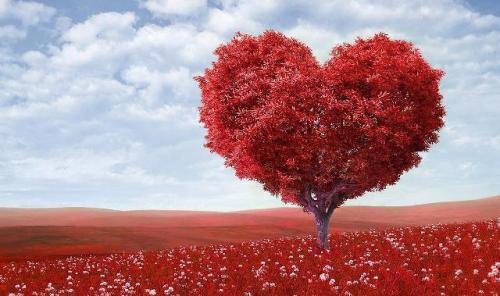 Комфорт в комнате в доме престарелых. Основы психологического комфорта пожилого человека в частном доме престарелых 09 Комфорт в комнате в доме престарелых. Основы психологического комфорта пожилого человека в частном доме престарелых 09