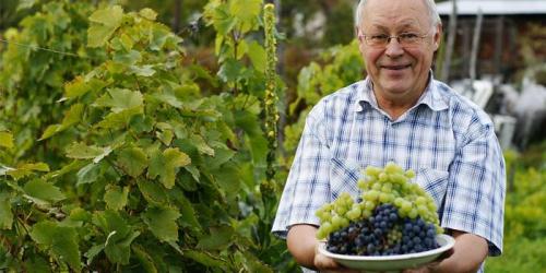 Безопасный дом для пожилых людей — всё, что для этого нужно 13 Безопасный дом для пожилых людей — всё, что для этого нужно 13