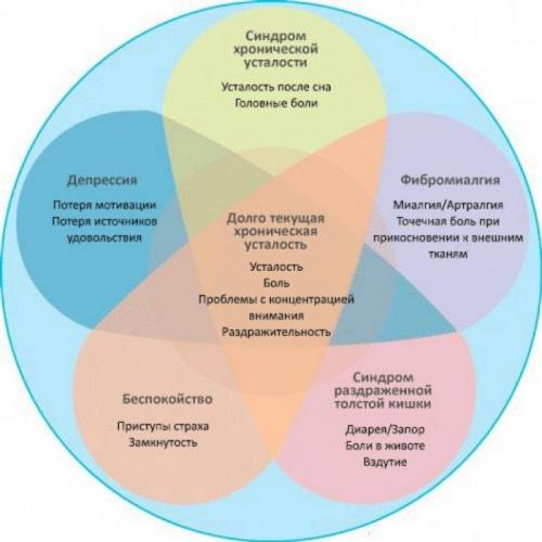 Постоянно хочется спать, что делать. Когда возникает