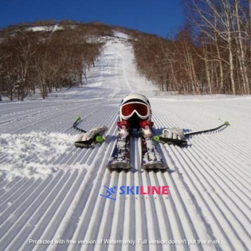 Ходьба на лыжах техника. Способы передвижения на лыжах