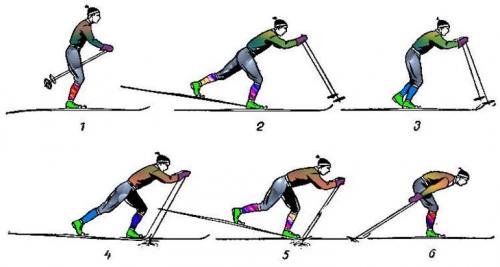 О пользе ходьбы на лыжах. Польза физической нагрузки для человека 04 О пользе ходьбы на лыжах. Польза физической нагрузки для человека 04