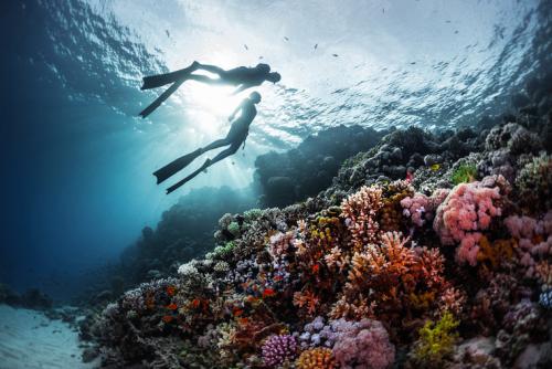 Какие виды спорта подходят пожилым. С чего начать? 09