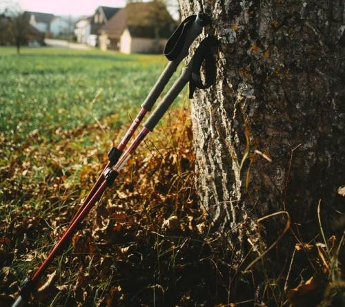 Все о скандинавской ходьбе. Польза скандинавской ходьбы и противопоказания к такой физической нагрузке 01 Все о скандинавской ходьбе. Польза скандинавской ходьбы и противопоказания к такой физической нагрузке 01