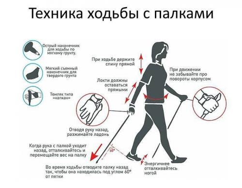 Все о скандинавской ходьбе. Польза скандинавской ходьбы и противопоказания к такой физической нагрузке 10 Все о скандинавской ходьбе. Польза скандинавской ходьбы и противопоказания к такой физической нагрузке 10