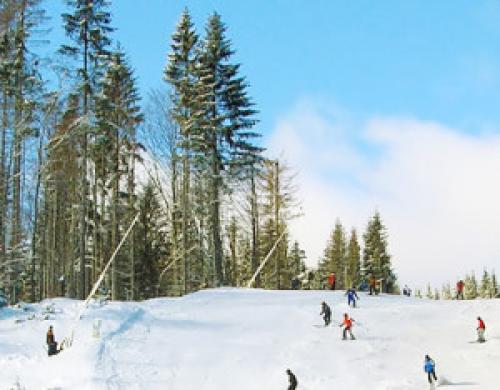 Горные лыжи - польза и вред. Польза катания на горных лыжах.