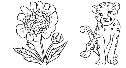 Занятия для пожилых людей с деменцией. Игры для человека с деменцией 09