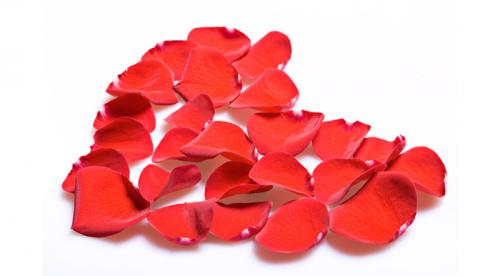 Как заварить вкусный чай с добавками. Что добавить в чаёк (1 часть)