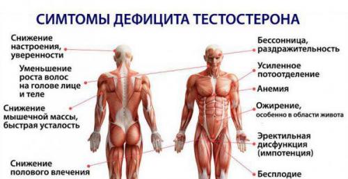 9 советов, как сохранить мужское здоровье. Особенности мужского рациона 07