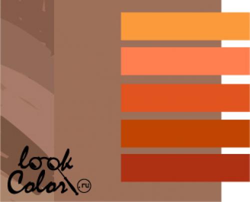 Цвет мокко: подходят ли ему все 02