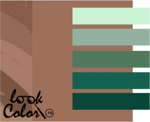 Цвет мокко: подходят ли ему все 05